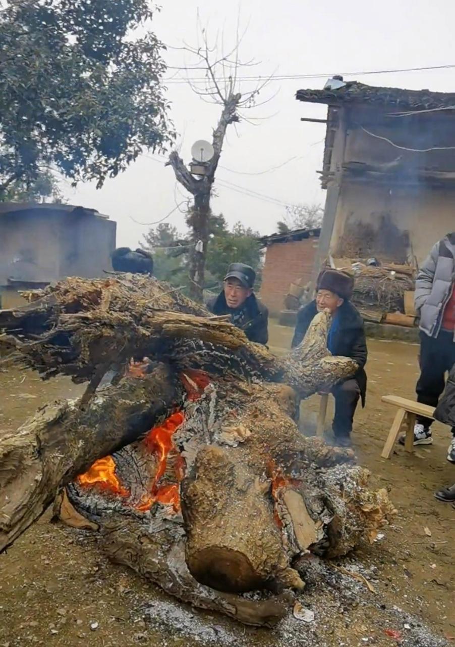 网友:生火取暖还得看农村