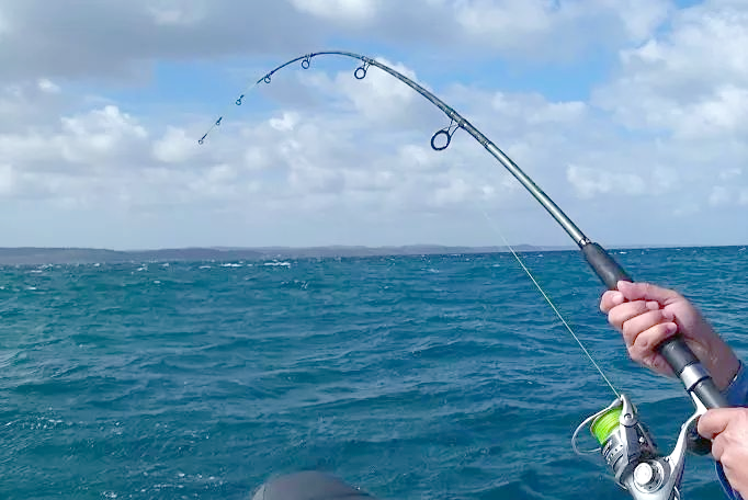 大连日本海钓(大连海钓鱼视频)