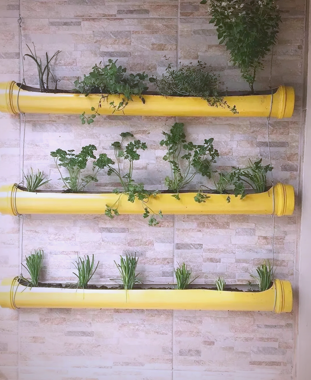 探索pvc水管在"美丽庭院"建设中的多功能应用