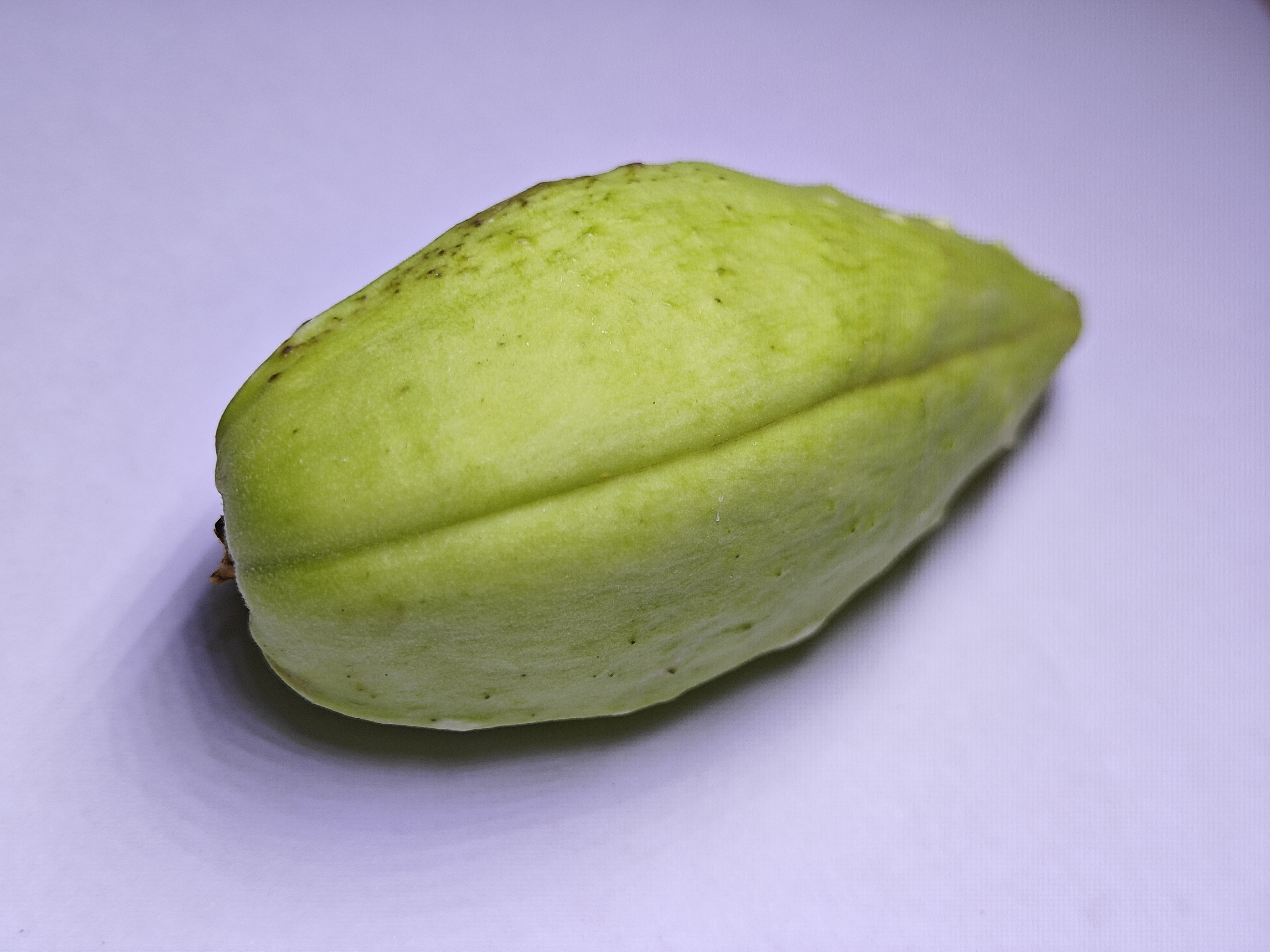 萝藦俗称老鸹瓢,你见过吗?来解剖一下它的花果看看有什么秘密