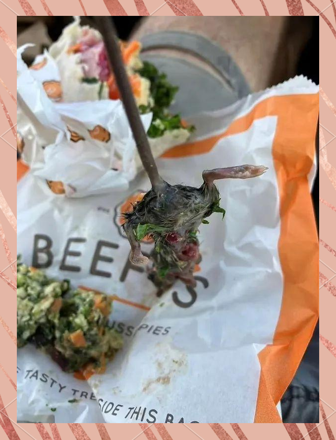 切片面包与卷饼中惊现死老鼠,消费者遭恶心事件