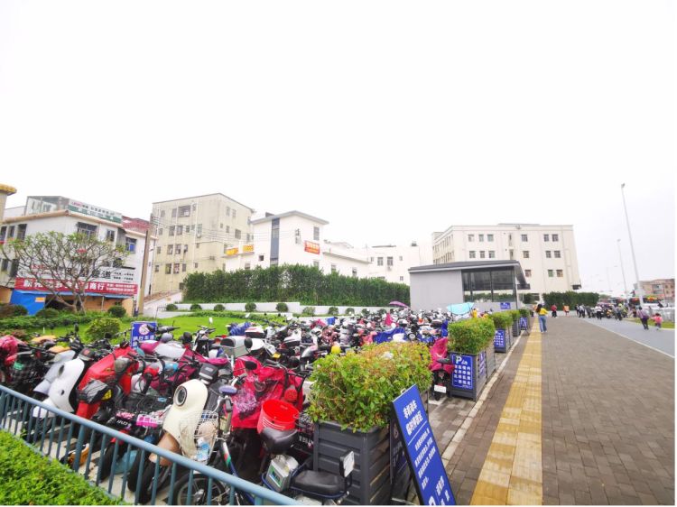 让地铁口成为城市文明窗口,坑梓街道营造文明有序出行环境