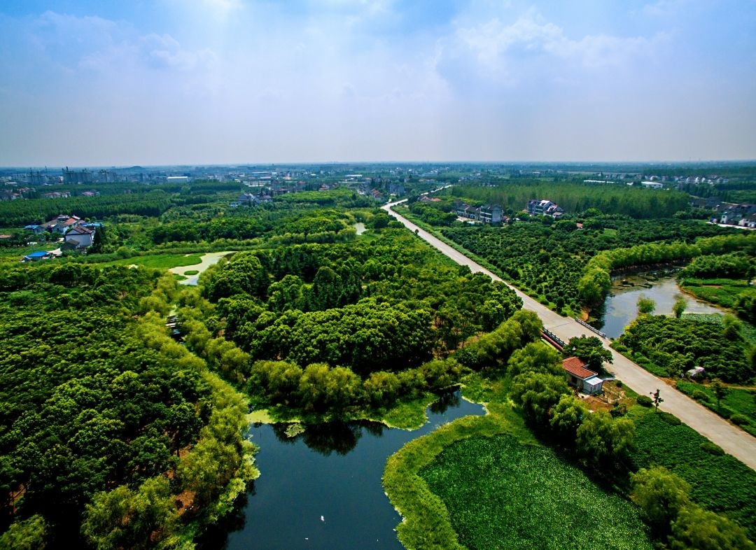 上海这几个较有特色的开放休闲林地,第一个就在金山