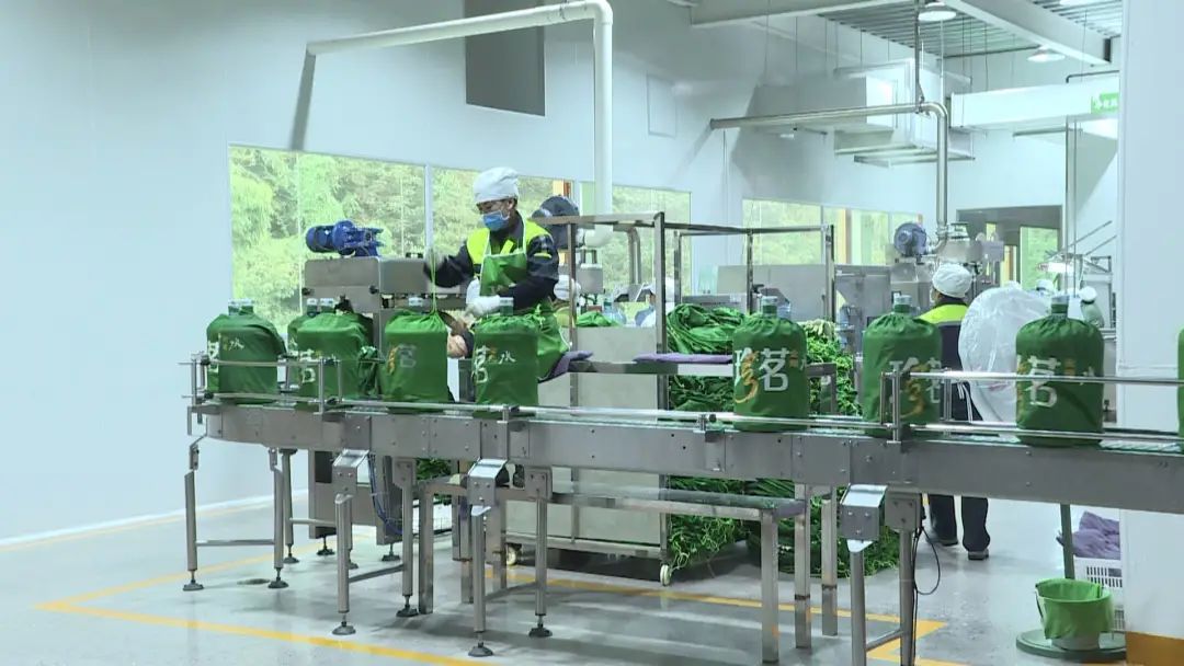 红河珍茗食品有限公司山泉水包装饮用水生产线