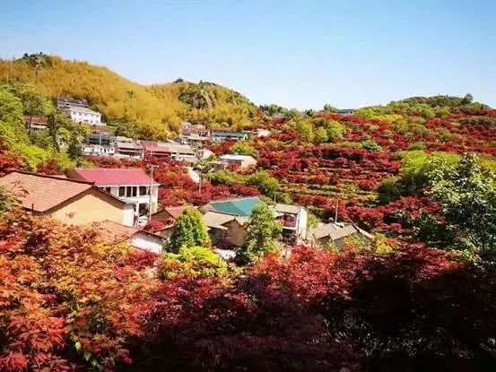 show姚景|这个季节,一定要去余姚这里