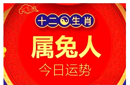 生肖兔六月运势如何男人(生肖兔六月运势如何男人)