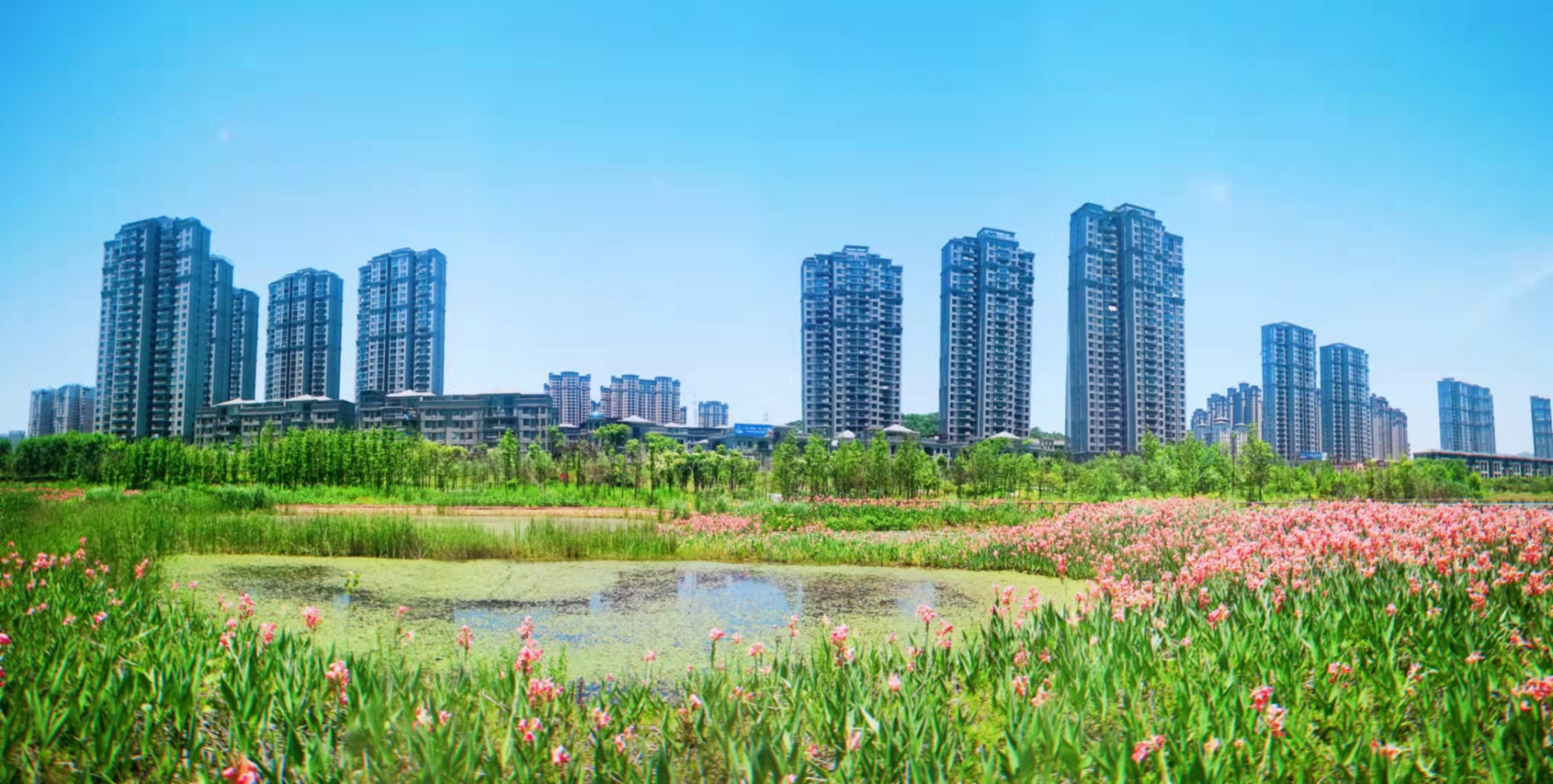 磁湖湿地公园成湖北黄石"新地标"