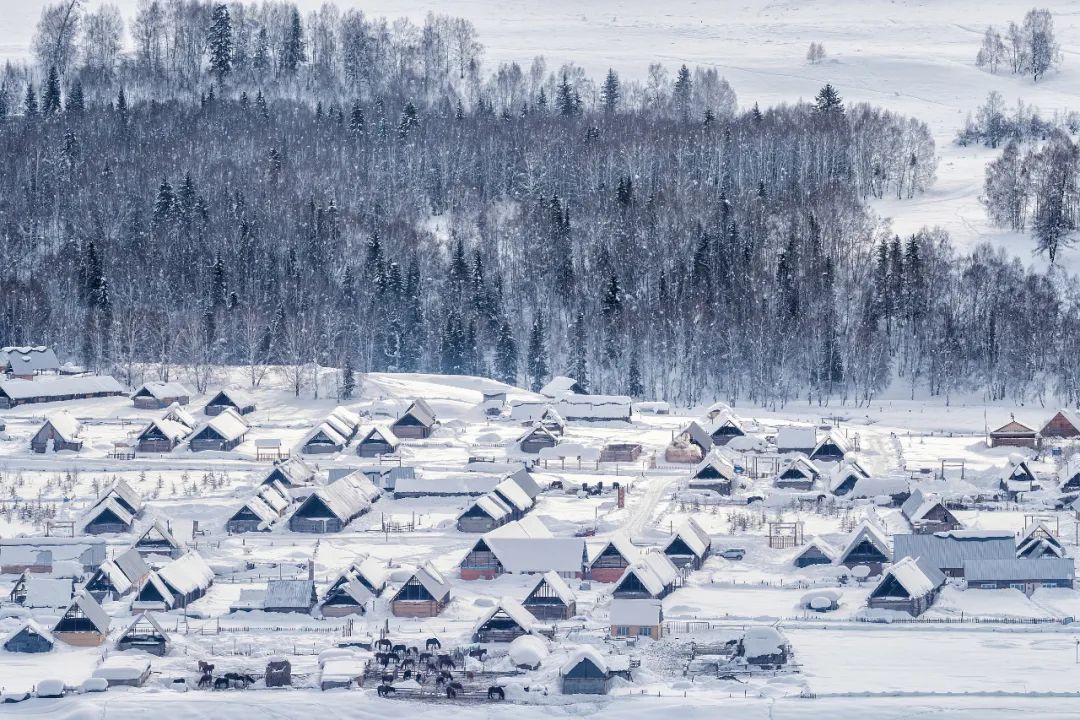 雪野奇遇总共几张图片