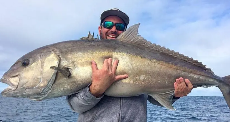 huge和vast的区别