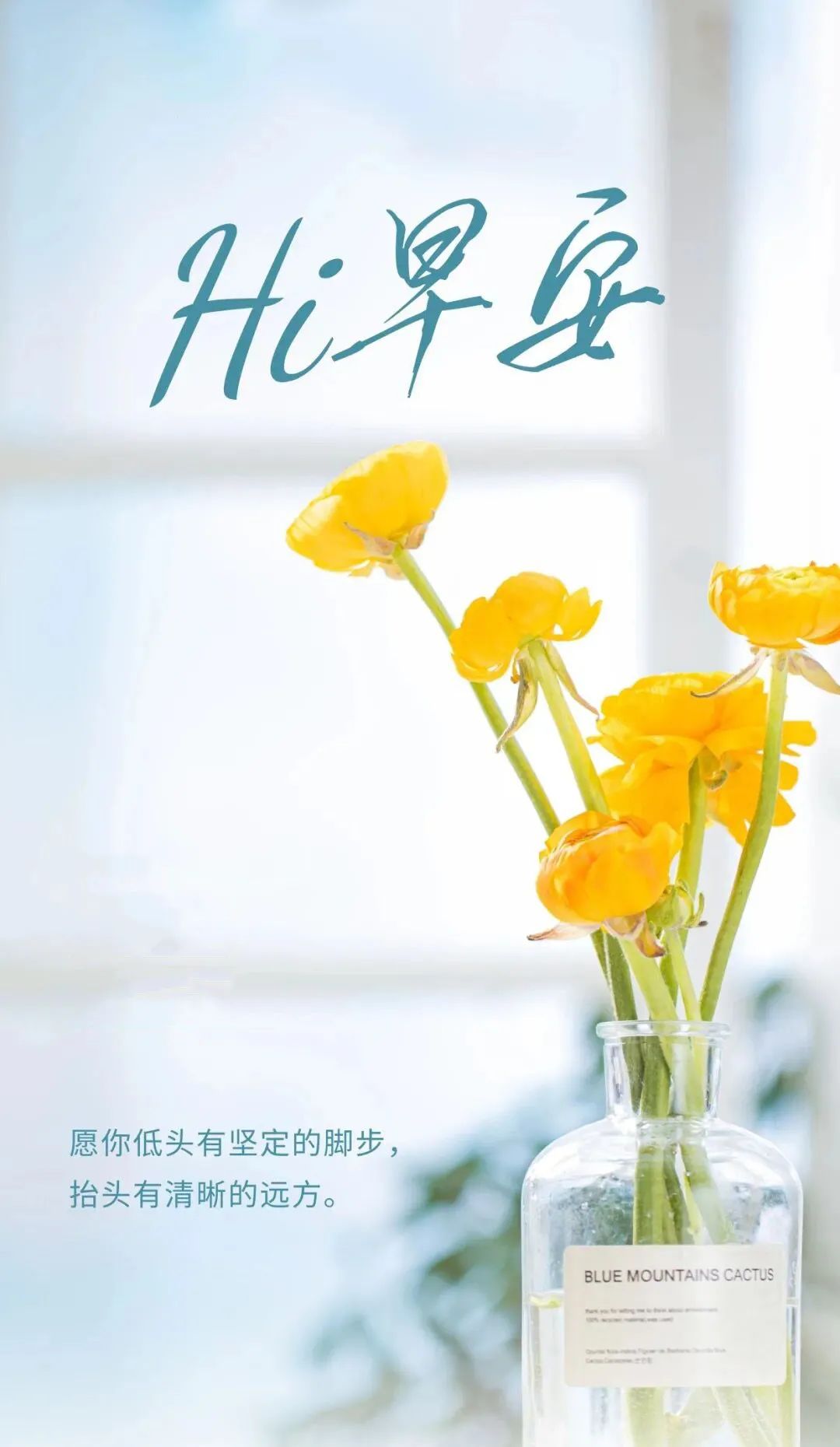 3月17日早安正能量励志句子分享朋友圈 早上好大全正能量最美