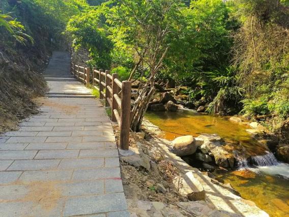 绿美恩平 | 响水龙潭