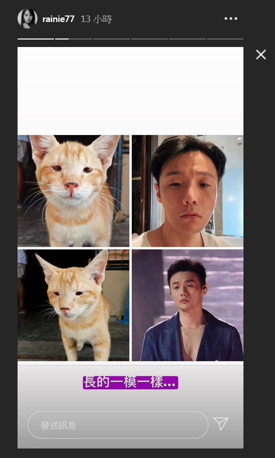 杨丞琳认证李荣浩撞脸单眼皮小猫:长的一模一样