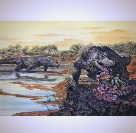 澳洲古巨蜥:一种已灭绝的巨型蜥蜴