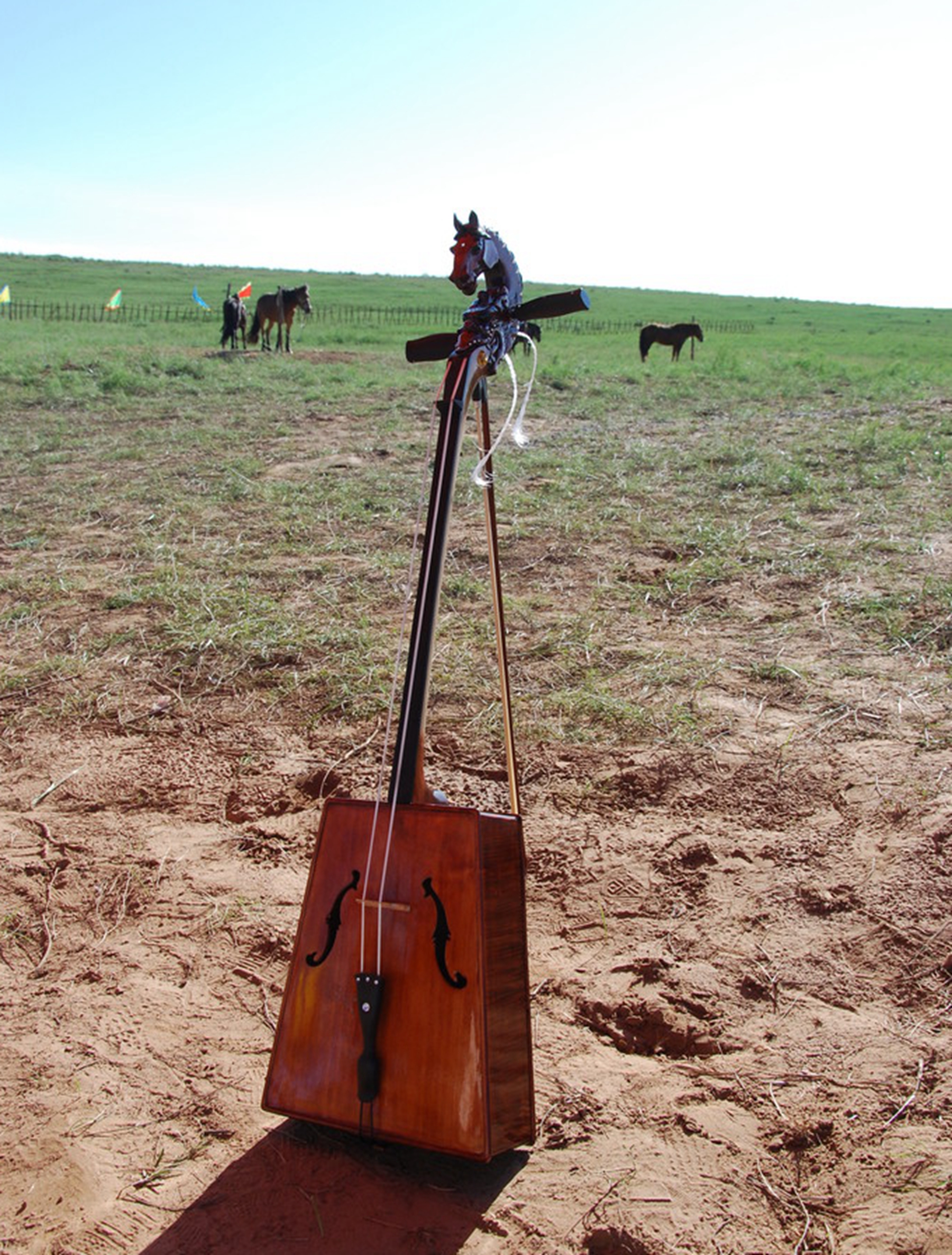 蒙古族马头琴有几弦?马头琴能在家练习吗?