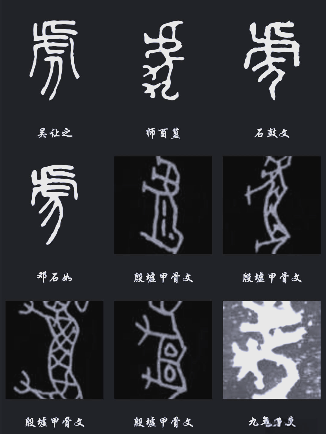 "虎"字最早可追溯至商代甲骨文,其字形犹如一只生动逼真的老虎