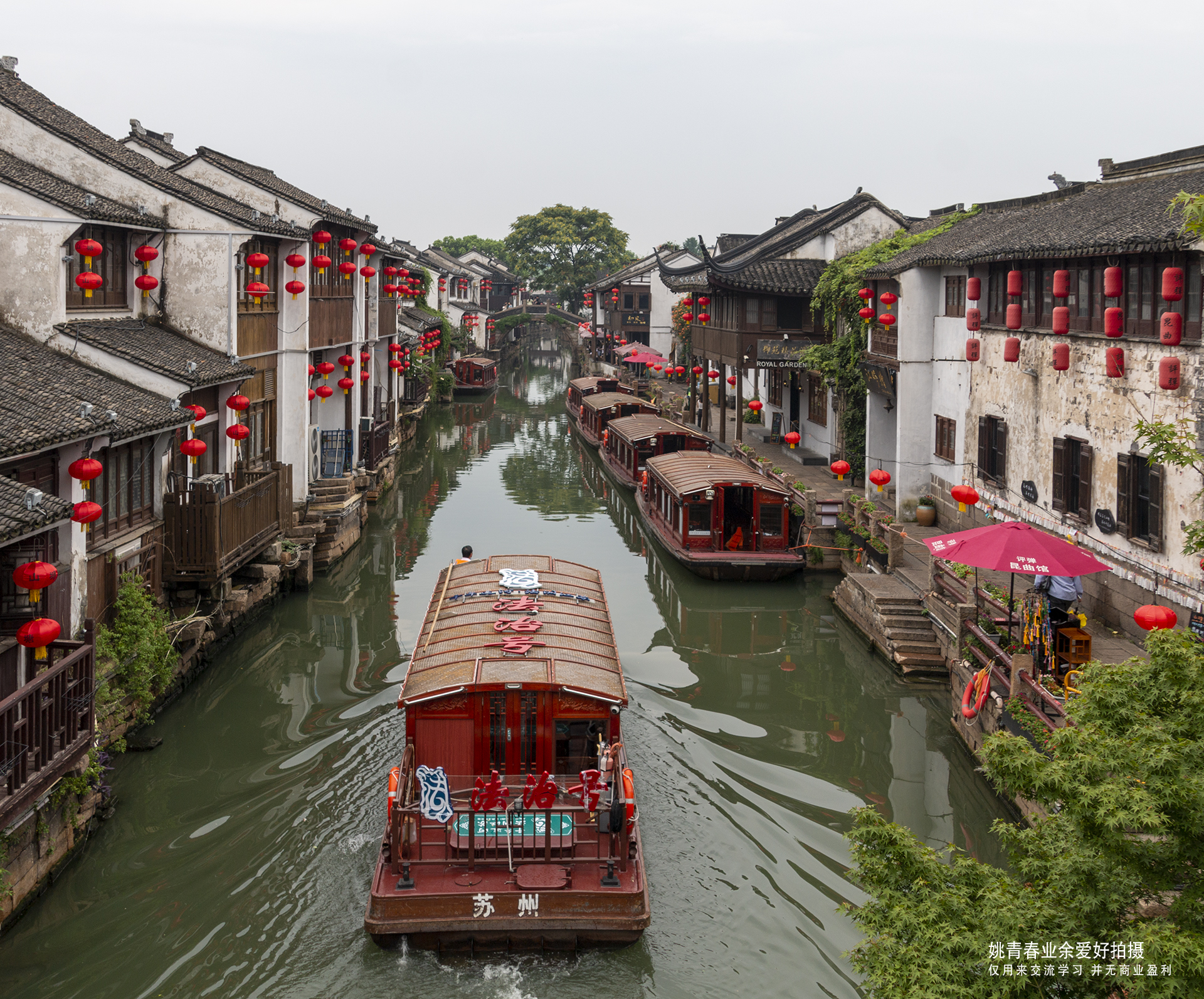 苏州七里山塘街江南水乡古镇小桥流水人家 姚青春 江南水乡古镇