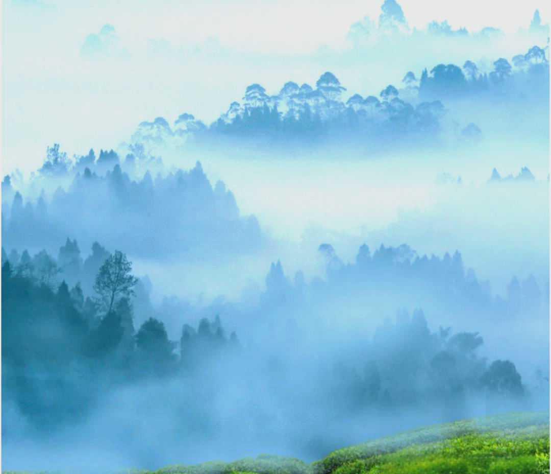 探秘中国传统文化中的青色美学