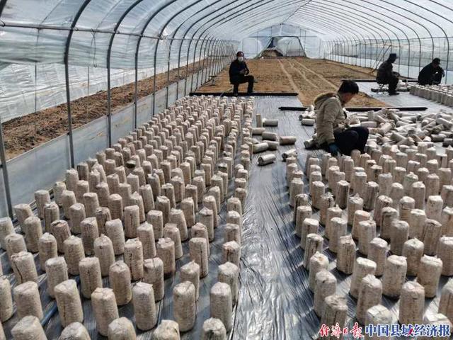 吉林森工集团白石山林业局加快转型促发展