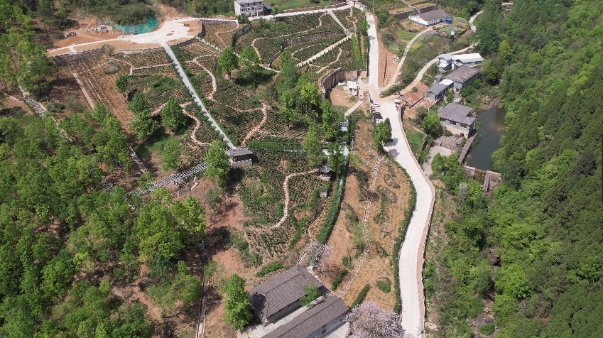 杨祖斌:时刻牢记"国之大者" 奋力打造"三农"工作剑阁样板