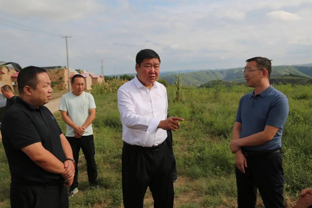 县委副书记,代县长高汉武到文安驿镇调研防止返贫监测,帮扶工作和产业