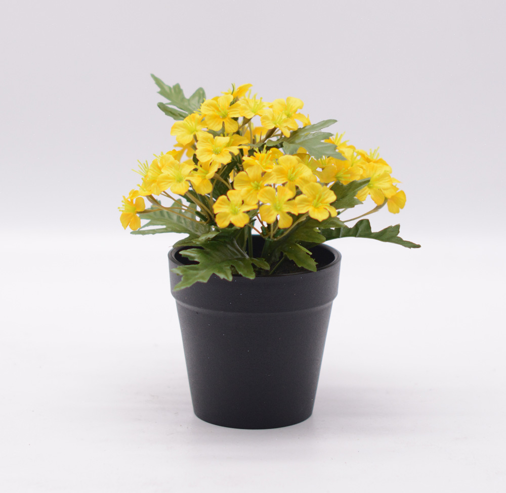 勿忘我的花语与寓意