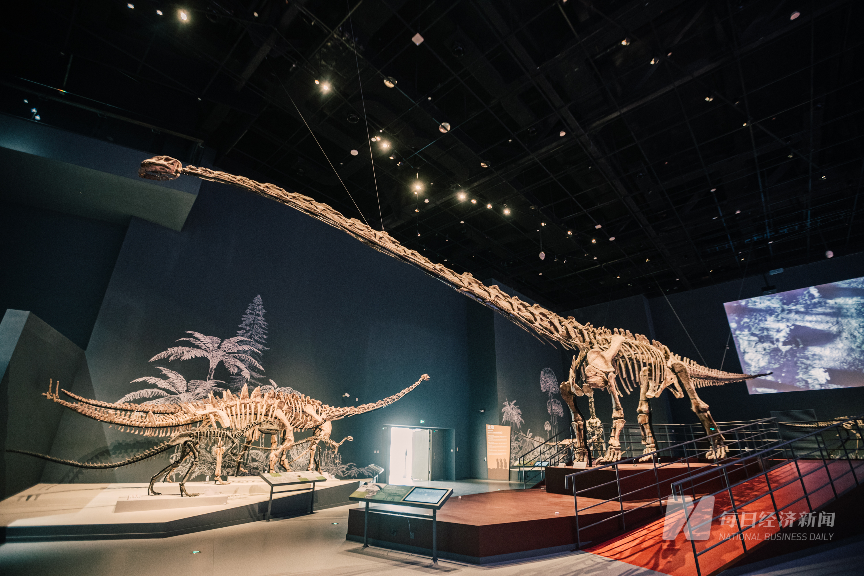 探馆|成都自然博物馆:一场穿越亿万年的时光旅行