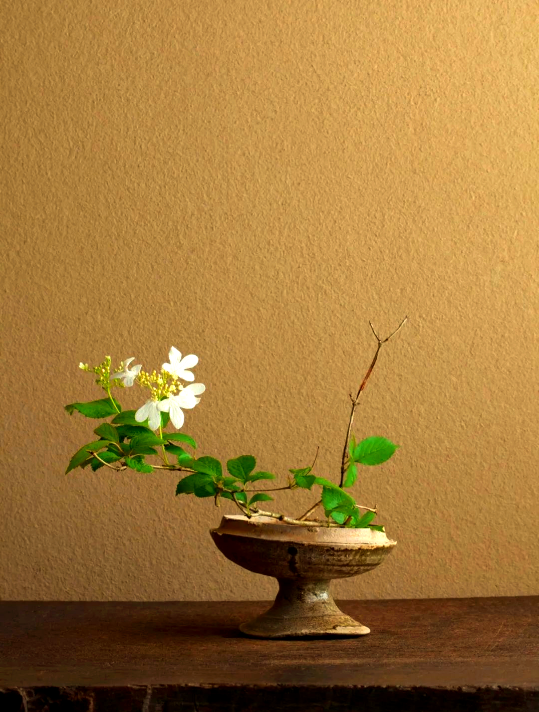 日本茶道中的插花与茶席,探索生活中的美学实践