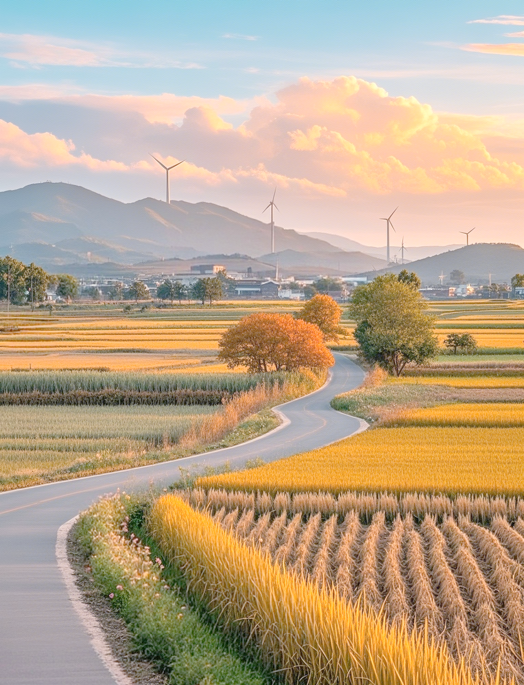 秋日夕阳下的田园风光