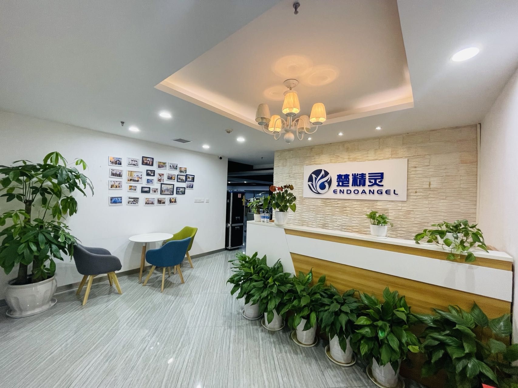 不必苦等"专家号"!武汉自主创新的"内镜精灵"获批上市