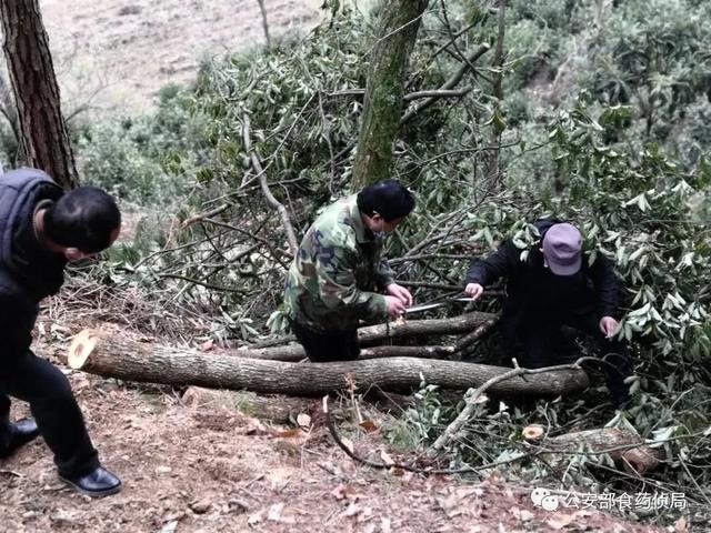 「昆仑2020」如有此类商品,请自行下架!发现此类商品,请及时举报!