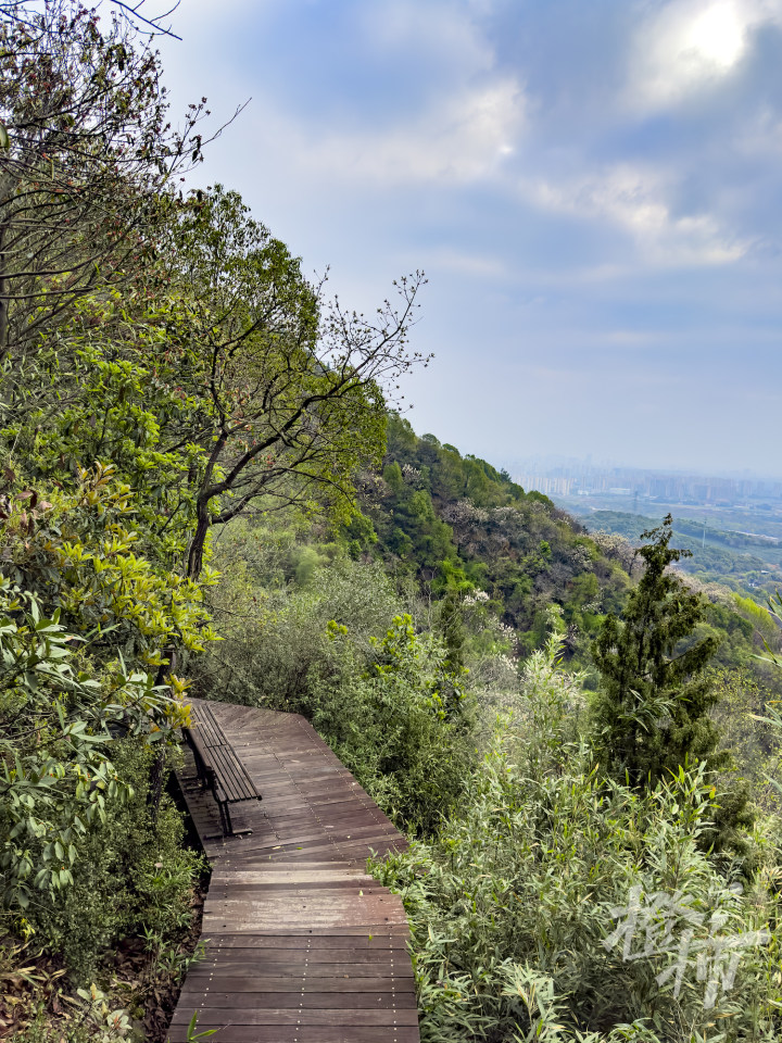 巍巍皋亭杭州靠山800年前杭州人的赏桃天花板山上的神秘图腾当年