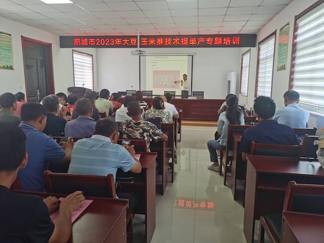 山东省农科院作物所徐冉研究员开展"舜耕科技"大豆调研培训活动纪实