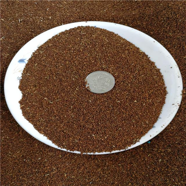 月见草种子什么时候成熟