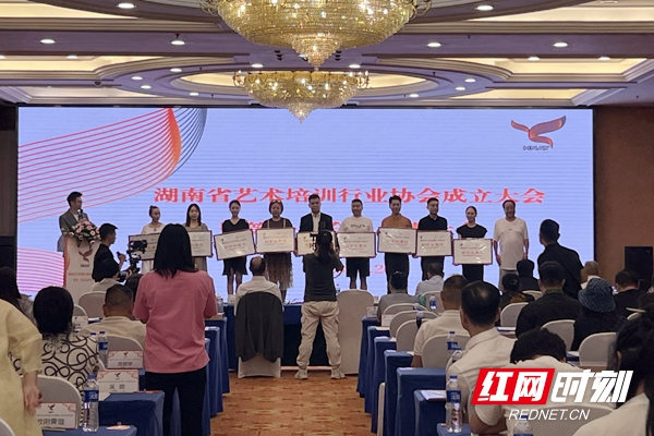 湖南省艺术培训行业协会成立 冯锐当选为会长