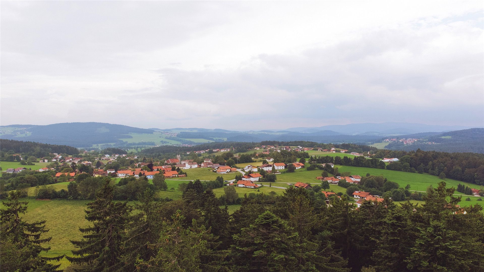费孝通的《乡土中国》,一本很中国的书,带你一起了解乡土风情