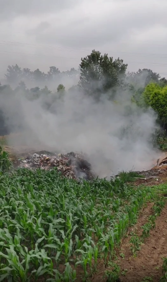 大丰华丰工业园有人肆意露天焚烧垃圾,望环保部门重视!