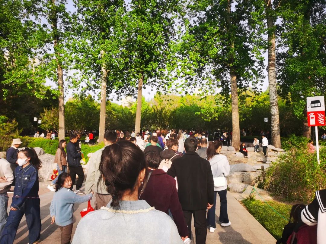 气温回升春光正好,郑州人民公园内游人如织赏花过周末