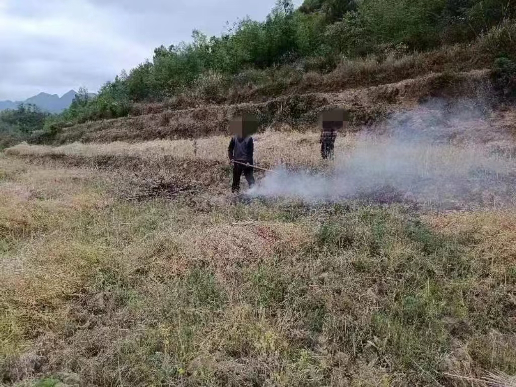 六枝特区郎岱镇开出承接赋权以来首张森林防火行政处罚罚单