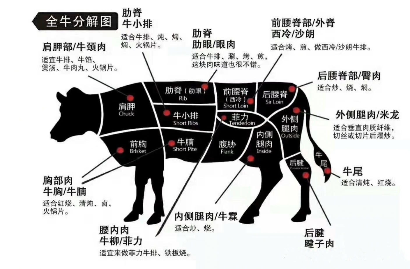 牛的身体部位名称图片