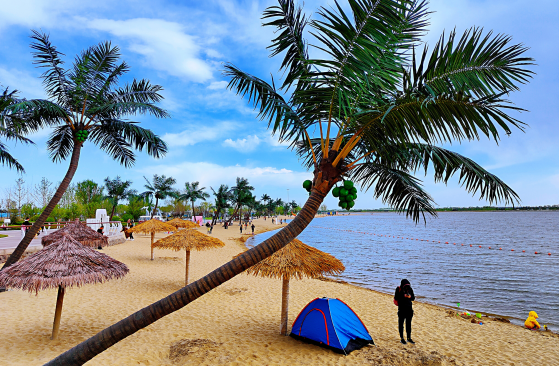 曹妃甸——见证渤海之滨的神奇!