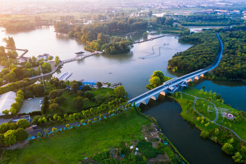 遥观镇:一手抓防疫一手抓生产 创新发展依然"快步走"