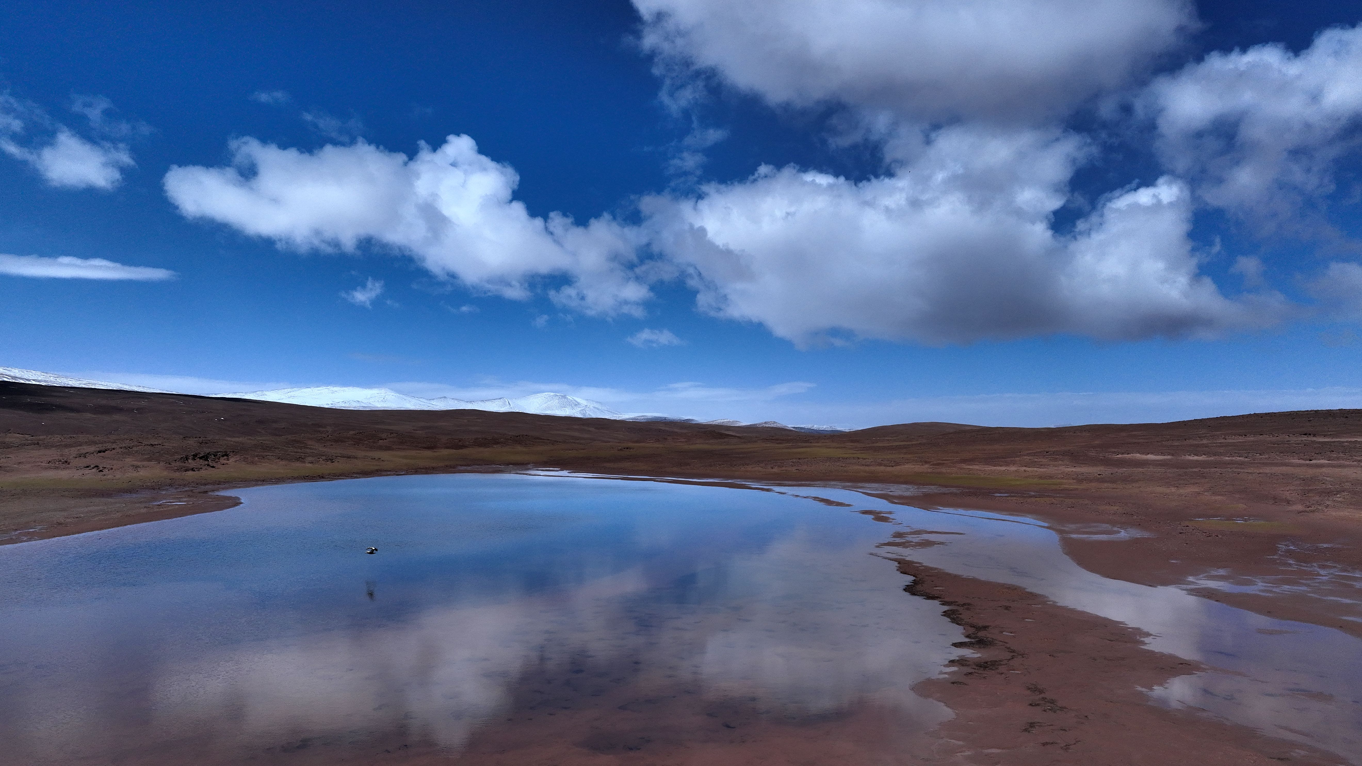(美丽中国)"藏羚羊产房"卓乃湖的日与夜