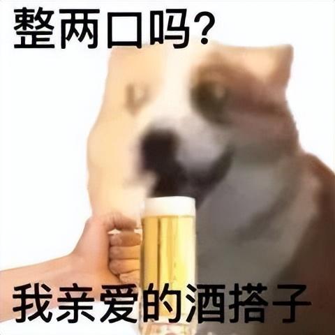 表情包:我的嘴臭搭子