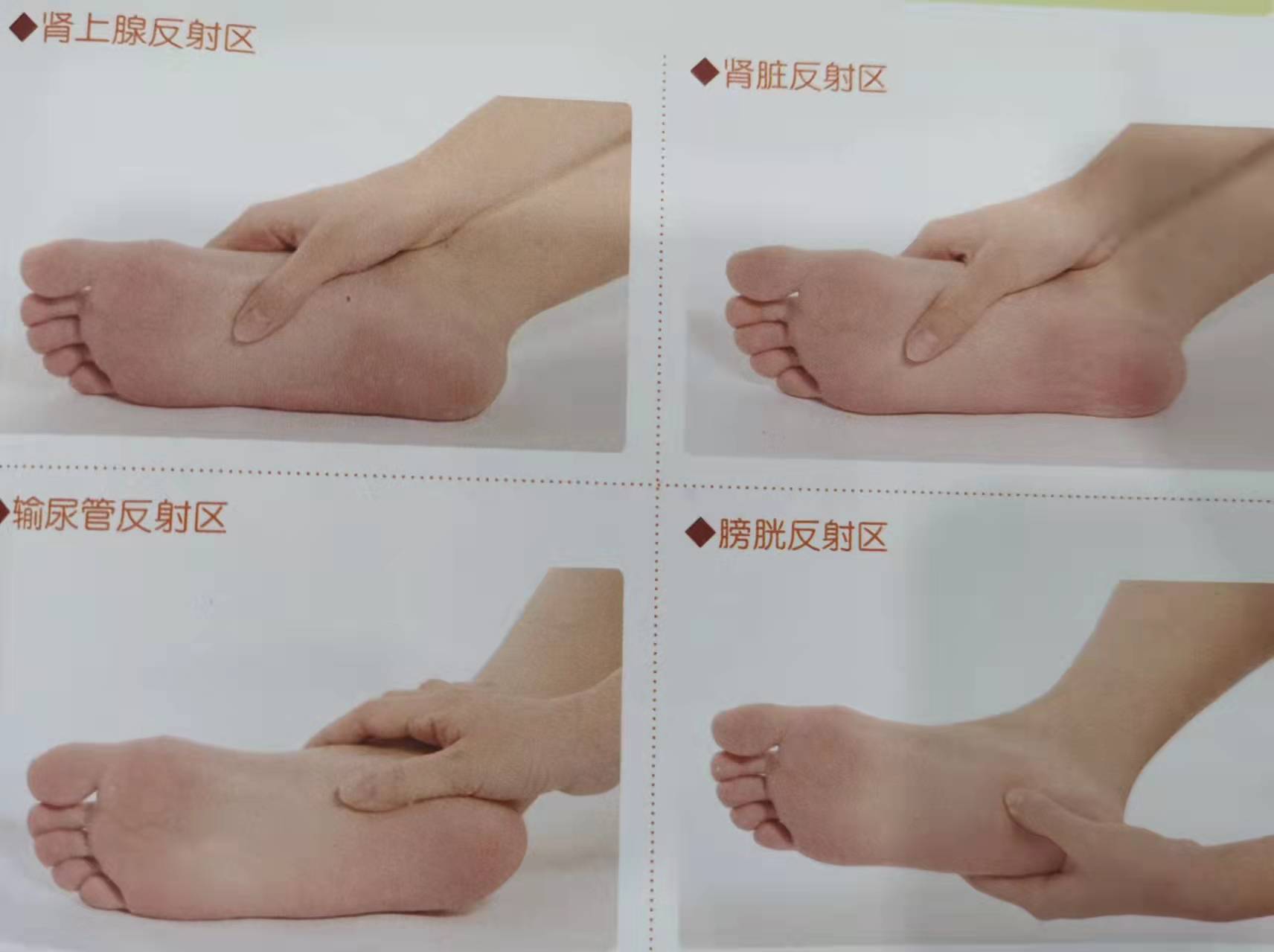 7个关于糖尿病的脚部反射区!