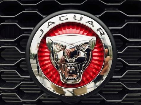 其车标以美洲豹为形象,因酷似老虎,故有"老虎下山车标"之称