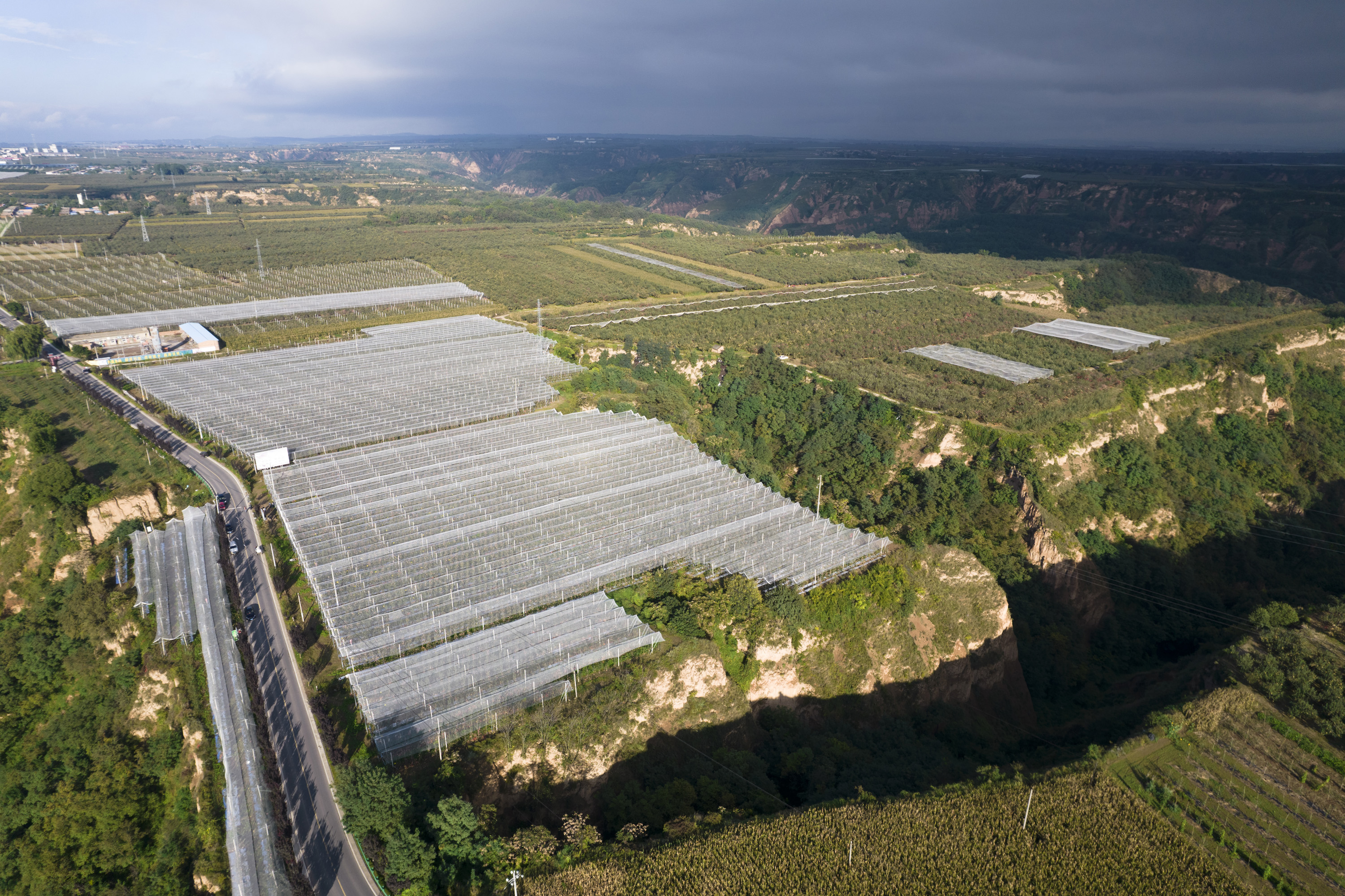 陕西洛川:"苹果之乡"产量效益"双丰收"