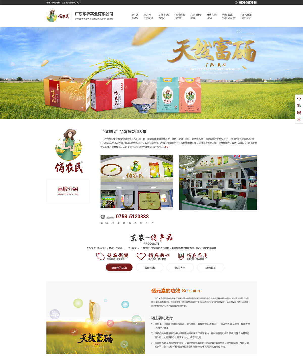 阿合奇县企业网站建设_(阿合奇县人民政府网 网页版) - 顺风顺水网络