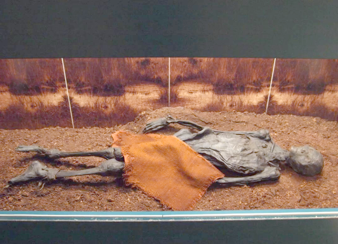 世界上众多令人毛骨悚然的古埃及木乃伊