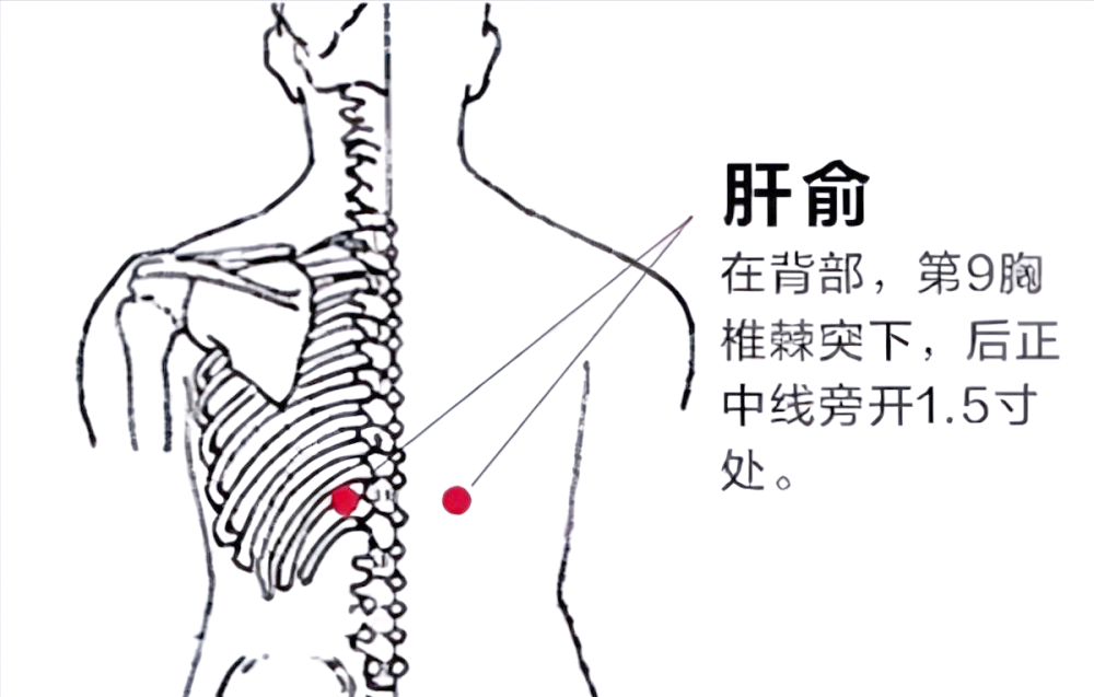 肝俞的神奇功效与古籍记载