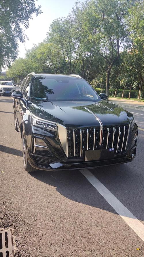 最新红旗hs5真实口碑 红旗hs5的车主眼中的缺点